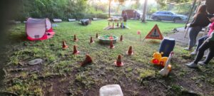 Welpenprägung 2024 3 Welpen Training